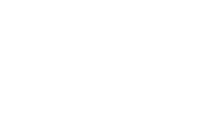 Bit_Fry_Game_Studio_Inc_logo